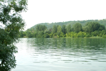 Vue calme sur le Rhône